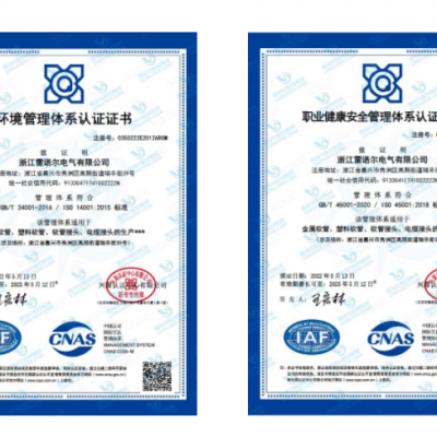 雷諾爾電氣順利通過ISO14001和ISO45001環(huán)境、安全管理體系認(rèn)證